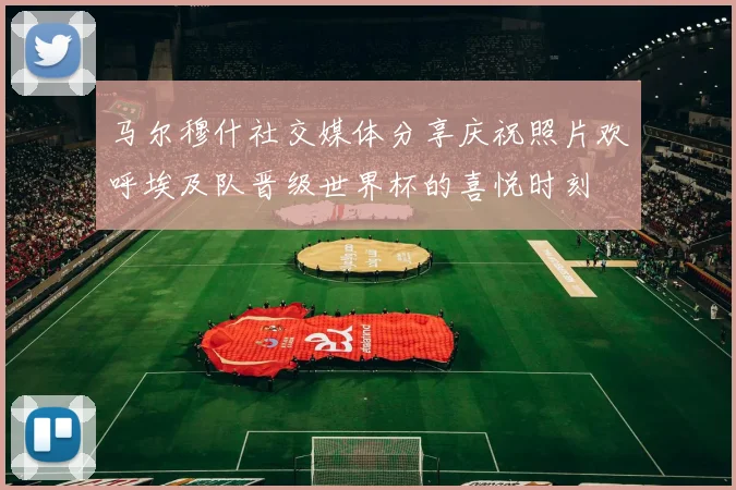 马尔穆什社交媒体分享庆祝照片欢呼埃及队晋级世界杯的喜悦时刻