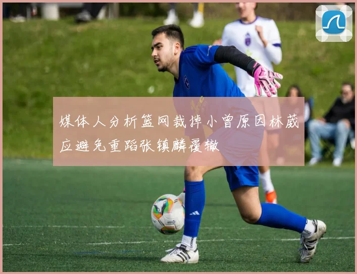 媒体人分析篮网裁掉小曾原因林葳应避免重蹈张镇麟覆辙