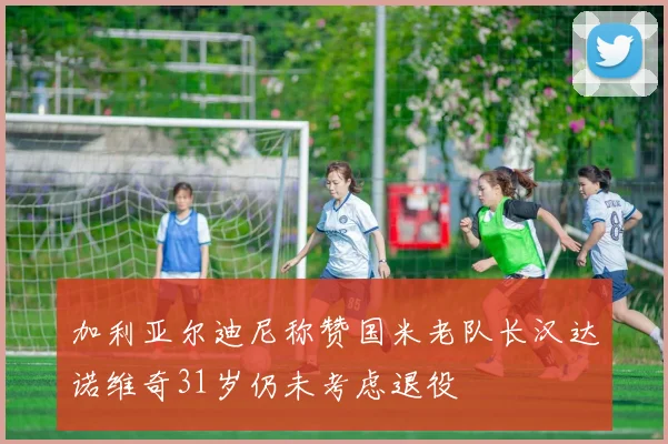 加利亚尔迪尼称赞国米老队长汉达诺维奇31岁仍未考虑退役