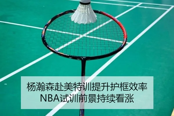杨瀚森赴美特训提升护框效率 NBA试训前景持续看涨 - ManBetX
